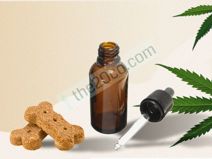 CBD Oil for Pets