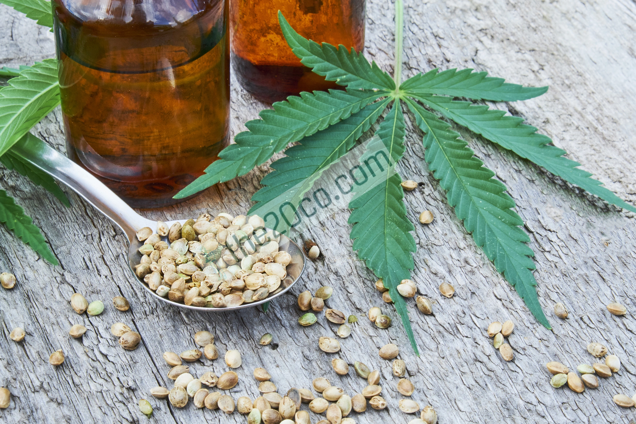What Exactly is CBD Oil