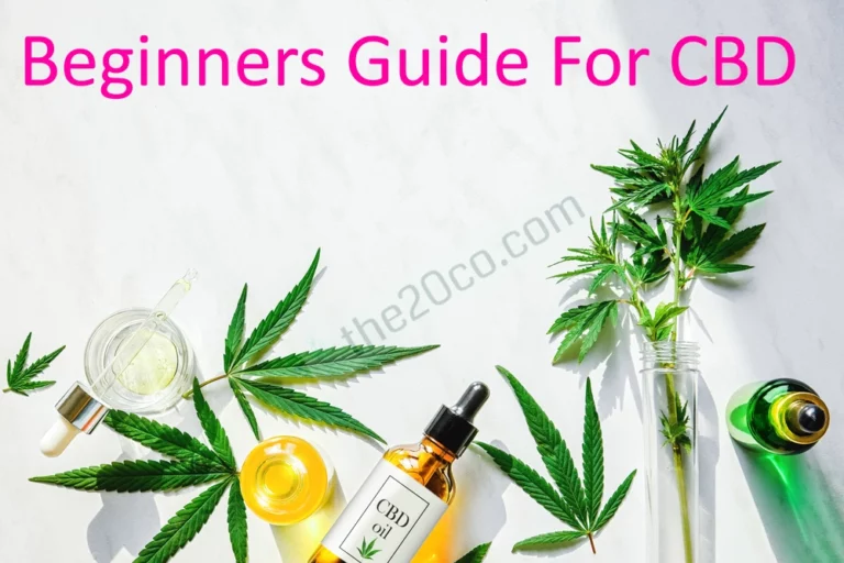 A Beginners Guide For CBD