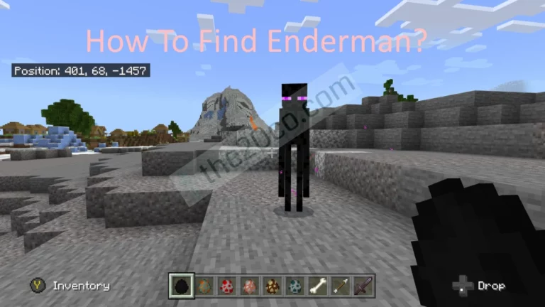 How To Find Enderman In Overworld Minecraft?