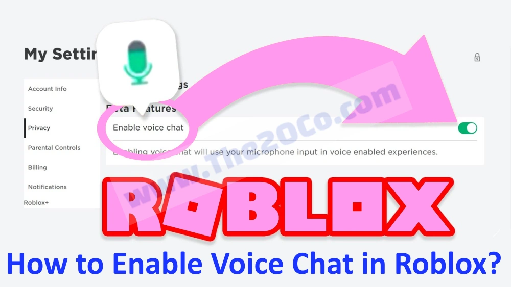 How to Enable Voice Chat in Roblox?