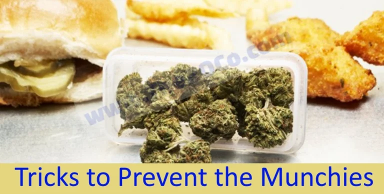 9 Tricks to Prevent the Munchies