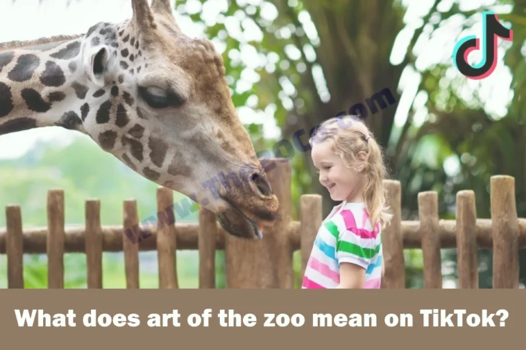 What does art of the zoo mean on TikTok?