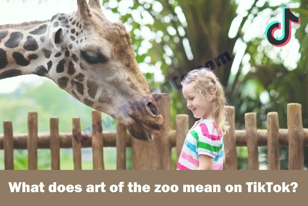 art of the zoo