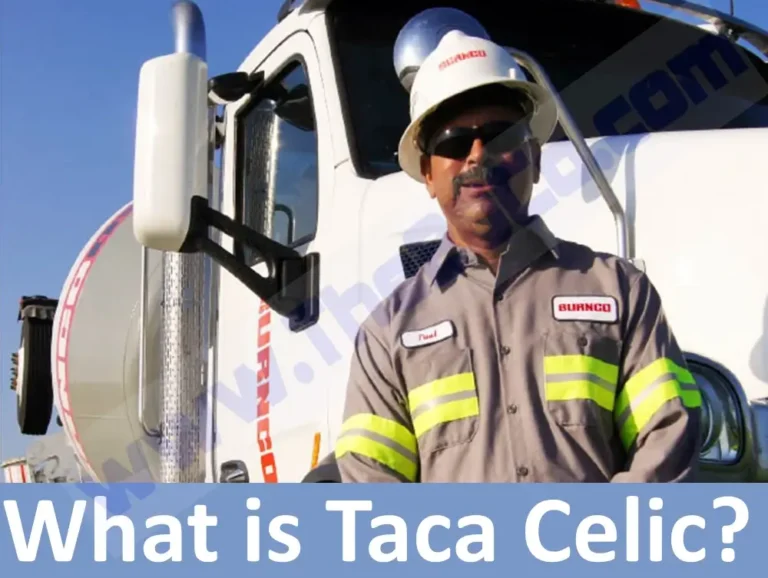 What is Taca Celic? {Information Need to Know}