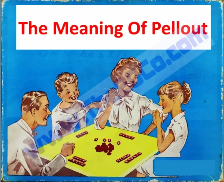Let’s Figure Out The Meaning Of Pellout