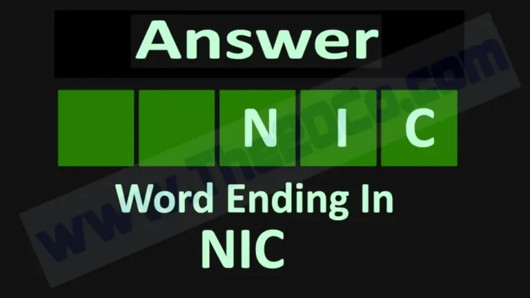 Words Ending With nic
