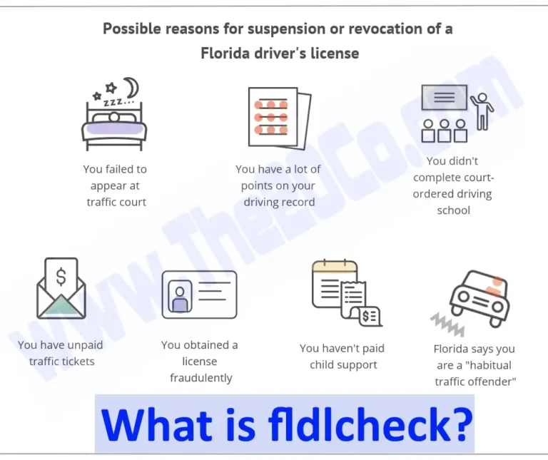 What is fldlcheck? {Comprehensive Guide}