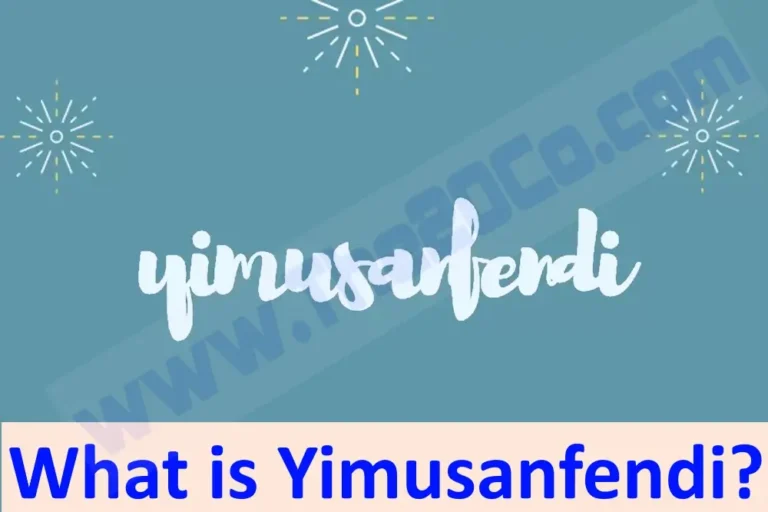 What is Yimusanfendi/1Point3Acres?