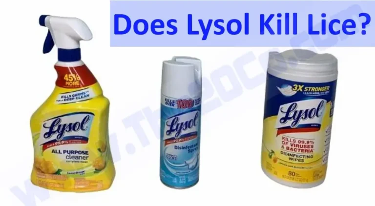 Does Lysol Kill Lice?