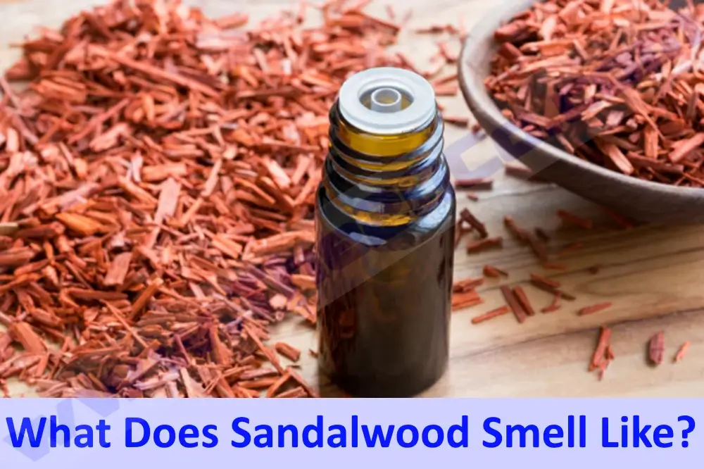 What does sandalwood smell like