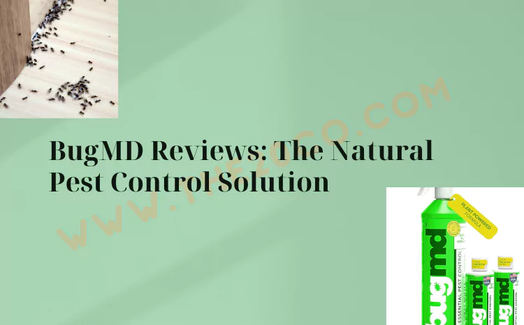 BugMD Reviews: Exploring the Power of Nature in Pest Control Solutions