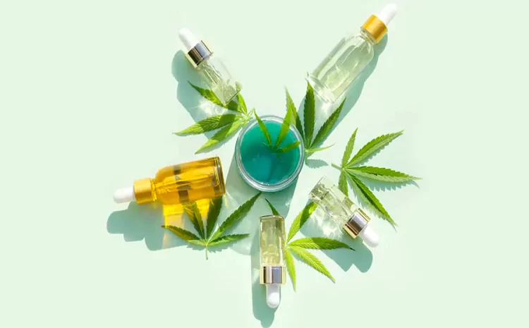 Reasons To Start Using CBD Oil