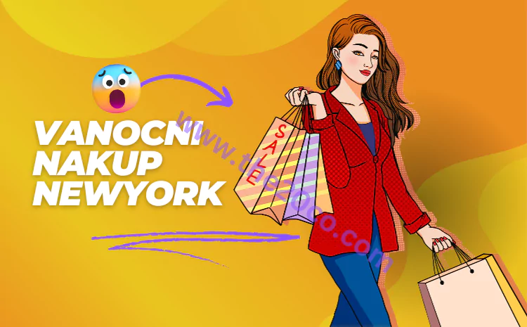 Vanocni Nakup NewYork