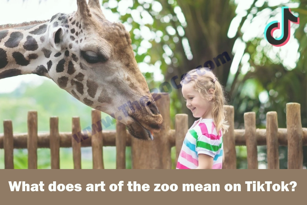 Exploring the Viral Trend: Art of the Zoo on TikTok