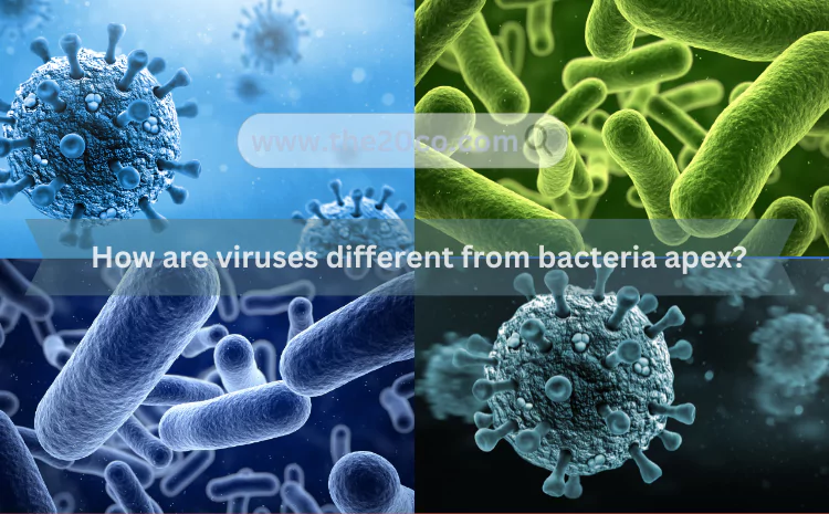 How are viruses different from bacteria apex?