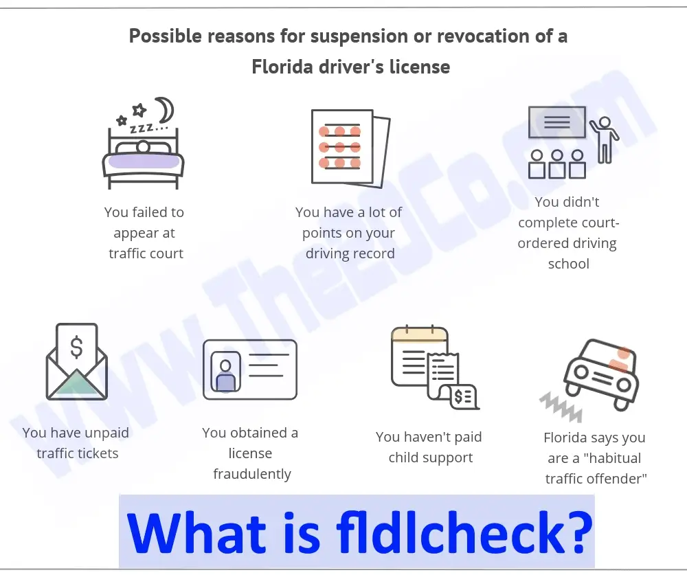 Navigating License Compliance Hassle-Free: The Fldlcheck Advantage