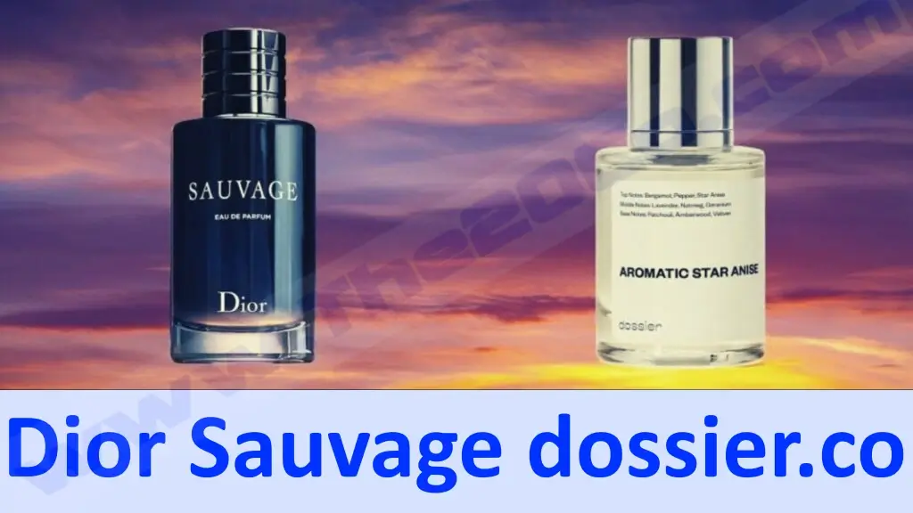 Dior Sauvage Dossier.co