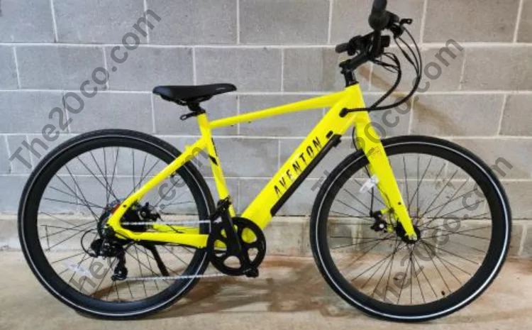 How to Choose Your First Electric Bike?