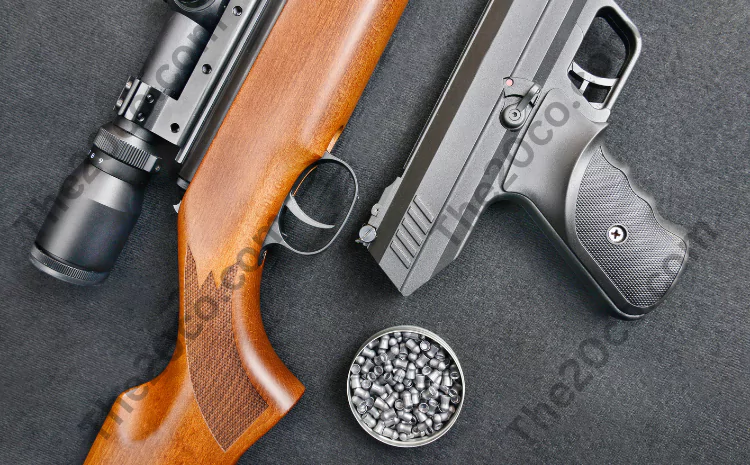 Different Types of Pellet Guns On Market – Which one Best For You