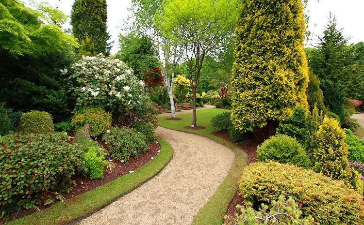 Always Green Landscaping: A Leading Lawn Care Company