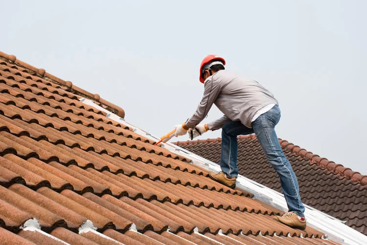 Roof Cleaning and Roof Replacement